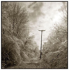 photo "THE ICE STORM I"