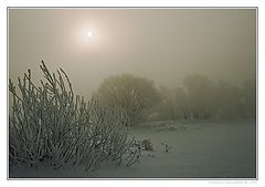 photo "March morning."