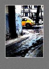 фото "жук"
