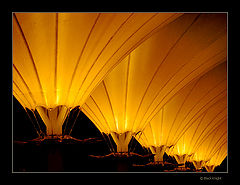 photo "Yellow Formation"