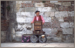 photo "The Musician - Honfleur - France"