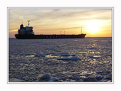 photo "Through ice - 2"