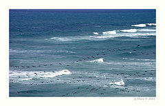 photo "Straight to north"