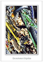 photo "the autumn bicycles"