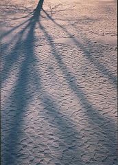 фото "Shadow on the snow"