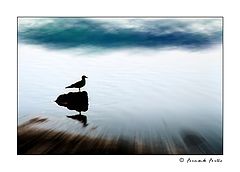 фото "The Sentinel"