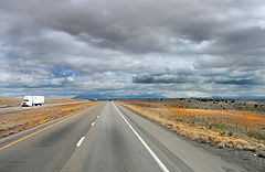photo "prairie"