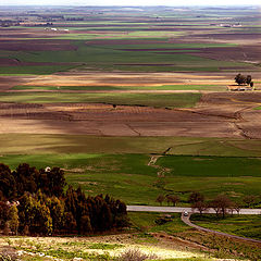 photo "Plain....."