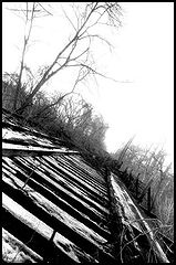 photo "UNTITLED #3"