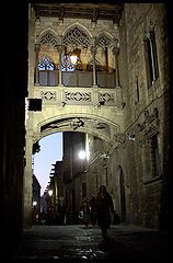 photo "Untitled photo"