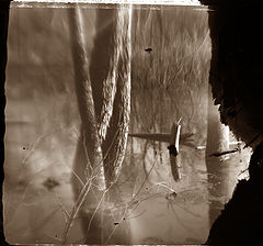 photo "UNTITLED #21"