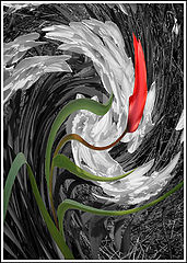 фото "The struggle for supremacy"