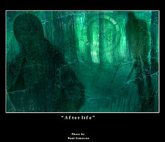 фото "Afterlife"