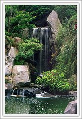photo "Japanese Garden #2"