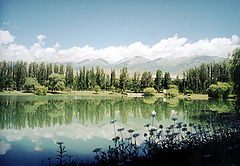 photo "Reflection"