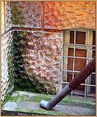 photo "PALETTE"