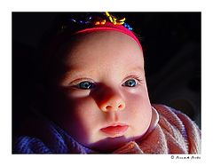 фото "The Meaning of Life"