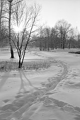 фото "-25"