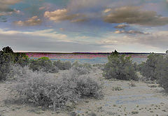 photo "Untitled photo"