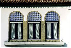 фото "Windows"