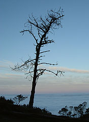 фото "Madeira"