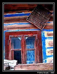 фото "Window"