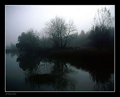 фото "Soft Misty Colors"
