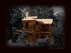photo "Untitled photo"