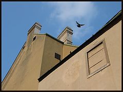 photo "Flight"
