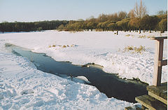 photo "Untitled photo"