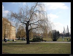 photo "czech etude"