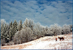 фото "сново снег"
