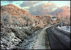 фото "winter"