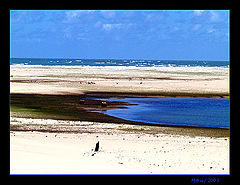 photo "Delta of San Francisco river"