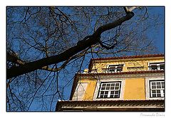 photo "Lisbon colors"