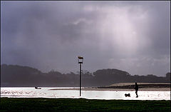 фото "Walking the dog"