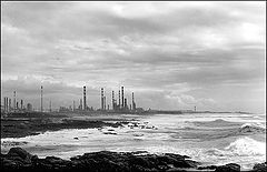 фото "Pollution"