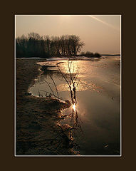 photo "Silent evening 2"