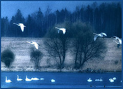 фото "Вечер ранней весны-2"