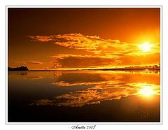 photo "...shine..."