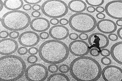 фото "Labirinto"