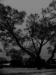photo "Untitled photo"