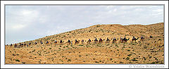 photo "CARAVAN"