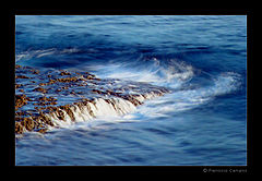 фото "(no title)"