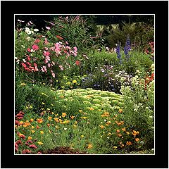 photo "Jardin ( Garden ) - Pontrancart"