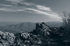 photo "***"