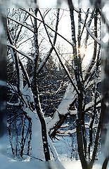photo "Winter sun"