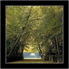 photo "Jardin ( garden ) - Courances"