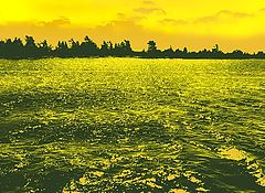 photo "***"