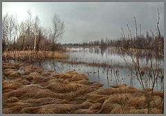 фото "Пейзажи Полесья. 2"